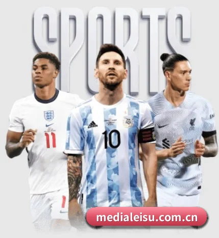 medialeisu.com.cn APP 界面