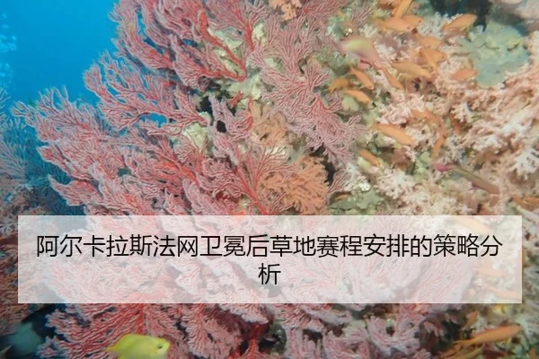 阿尔卡拉斯法网卫冕后草地赛程安排的策略分析